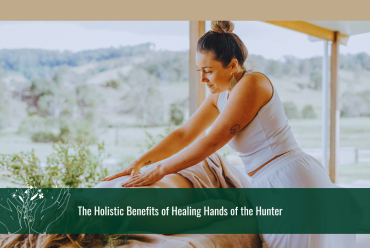The Holistic Benefits of Healing Hands of the Hunter